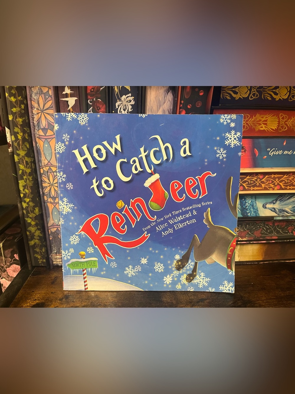 Scholastic Blue "How to Catch a Reindeer" Picture Book